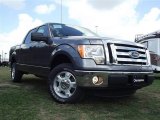 2011 Sterling Grey Metallic Ford F150 XLT SuperCrew #57354785