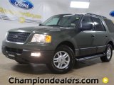 2005 Estate Green Metallic Ford Expedition XLT #57355163