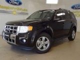 2012 Ebony Black Ford Escape Limited V6 #57355038