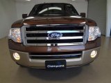 2012 Golden Bronze Metallic Ford Expedition King Ranch #57354985
