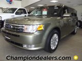 Ginger Ale Metallic Ford Flex in 2012