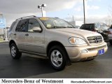 2004 Mercedes-Benz ML 350 4Matic