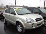 2007 Platinum Metallic Hyundai Tucson GLS #57447284