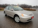 2001 Titanium Metallic Honda Civic EX Sedan #57446947