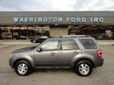 2010 Sterling Grey Metallic Ford Escape Limited V6 4WD #57486720