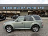 2008 Moss Green Mercury Mariner V6 Premier Voga Package #57486718