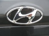 2012 Hyundai Santa Fe SE V6 Marks and Logos