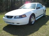 2004 Oxford White Ford Mustang V6 Convertible #5736685
