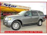2011 Sterling Grey Metallic Ford Expedition XLT #57539951