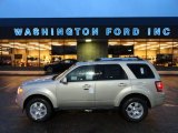 2012 Ford Escape Limited V6 4WD