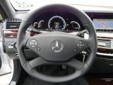 2010 Mercedes-Benz S 63 AMG Sedan Steering Wheel