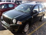 2010 Natural Green Pearl Jeep Compass Sport 4x4 #57696140