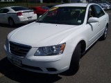 2010 Hyundai Sonata GLS