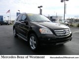 2008 Mercedes-Benz ML 350 4Matic