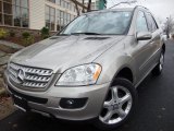 2008 Mercedes-Benz ML 350 4Matic