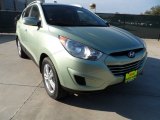 2012 Kiwi Green Hyundai Tucson GLS #57823124