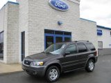 2006 Ford Escape XLT V6 4WD