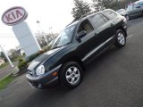 2006 Hyundai Santa Fe GLS