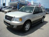 2006 Silver Birch Metallic Ford Expedition XLT #57877353