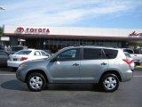 2006 Everglade Metallic Toyota RAV4  #57873461