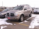 2005 Light Khaki Metallic Dodge Durango SLT 4x4 #57875381