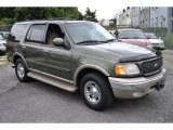 Estate Green Metallic Ford Expedition in 2001
