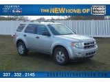 2009 Ford Escape XLT V6 4WD