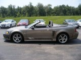 2001 Mineral Grey Metallic Ford Mustang Saleen S281 Supercharged Convertible #57874114