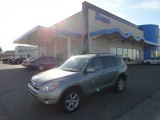 2006 Everglade Metallic Toyota RAV4 Limited 4WD #57969899