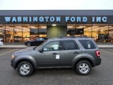 2012 Sterling Gray Metallic Ford Escape XLT V6 4WD #57969710