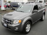 2009 Ford Escape XLT V6 4WD