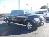 2009 Black Ford F150 FX4 SuperCrew 4x4 #57874290