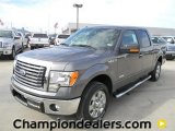 2012 Sterling Gray Metallic Ford F150 XLT SuperCrew #57872786