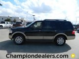 2012 Black Ford Expedition XLT #57872778