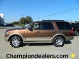 2012 Golden Bronze Metallic Ford Expedition XLT #57872770
