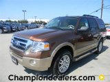 2012 Golden Bronze Metallic Ford Expedition XLT #57872767