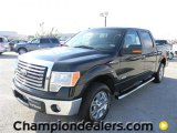 2011 Ford F150 XLT SuperCrew