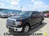 2011 Ebony Black Ford F150 XLT SuperCrew #57872645