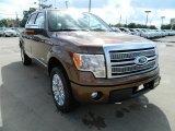 2011 Ford F150 Platinum SuperCrew 4x4 Front 3/4 View