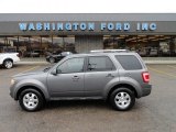 2010 Sterling Grey Metallic Ford Escape Limited V6 4WD #58090330