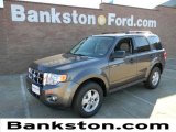 2012 Sterling Gray Metallic Ford Escape XLT #57872355
