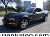 2008 Alloy Metallic Ford Mustang Shelby GT500 Coupe #57872129