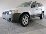 2006 Oxford White Ford Escape XLT V6 #58239330