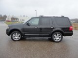 2010 Ford Expedition Limited 4x4 Exterior