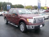 2010 Ford F150 XLT SuperCrew