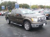 2009 Ford F150 XLT SuperCrew