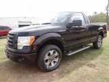 2012 Ford F150 STX Regular Cab Front 3/4 View
