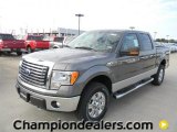 2011 Sterling Grey Metallic Ford F150 XLT SuperCrew 4x4 #58238256