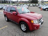 2010 Ford Escape Limited 4WD Front 3/4 View