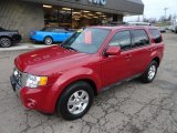 2010 Ford Escape Limited 4WD Front 3/4 View